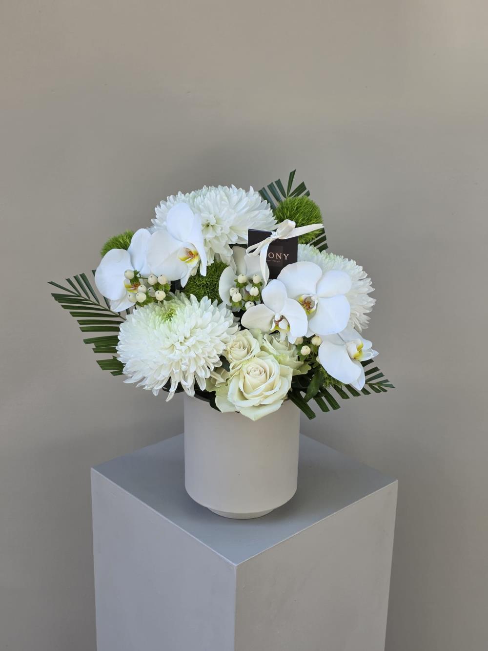 Pristine White Grace